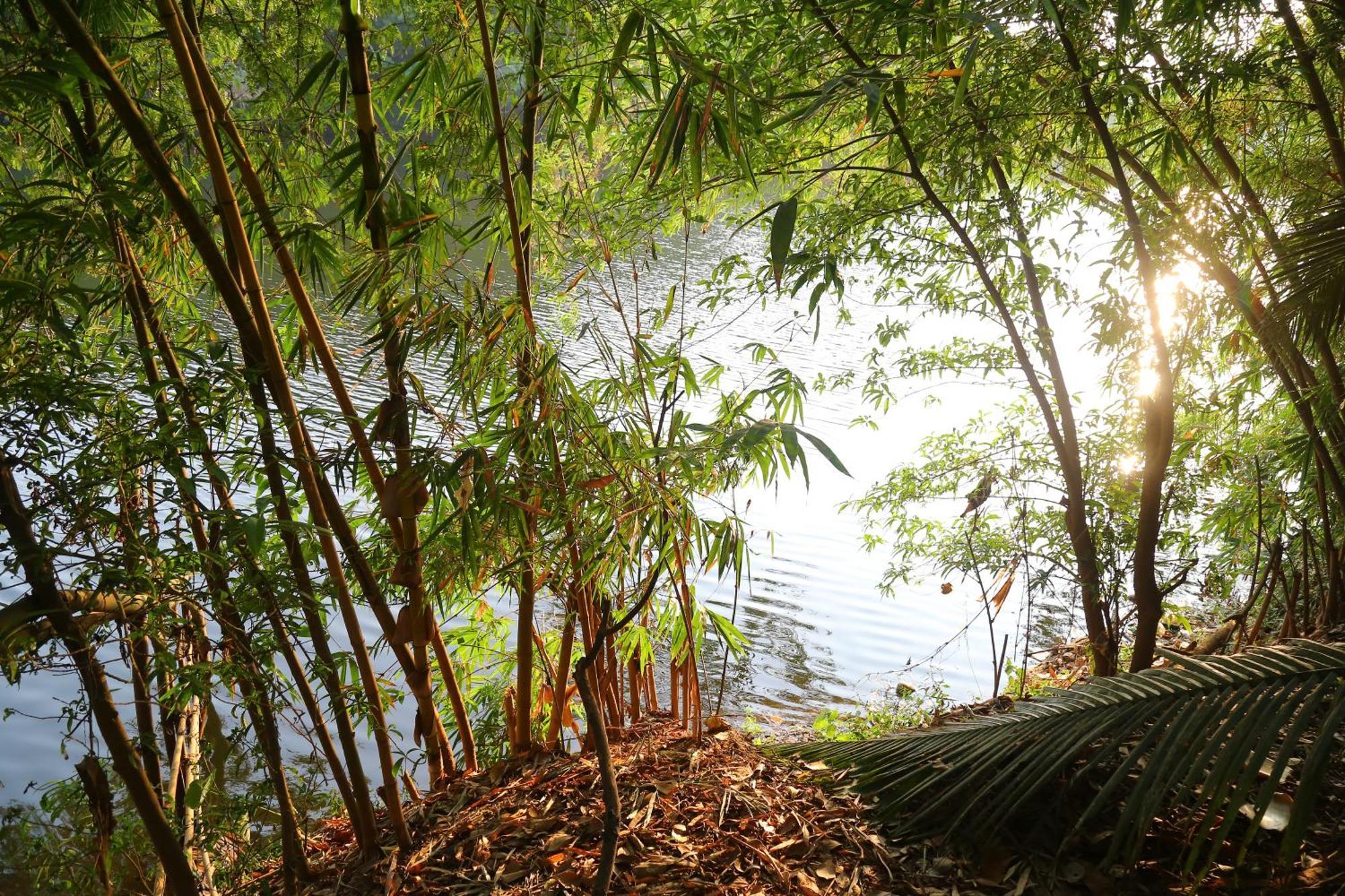 The Mana-Heritage Stay - Chengazhimattam Mana Kottayam Zewnętrze zdjęcie