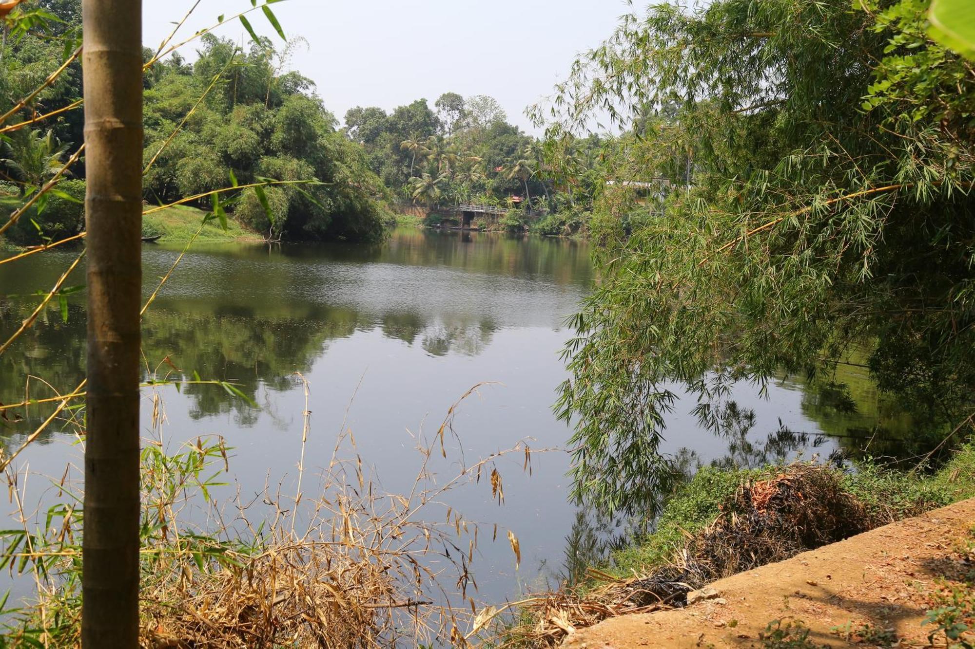 The Mana-Heritage Stay - Chengazhimattam Mana Kottayam Zewnętrze zdjęcie
