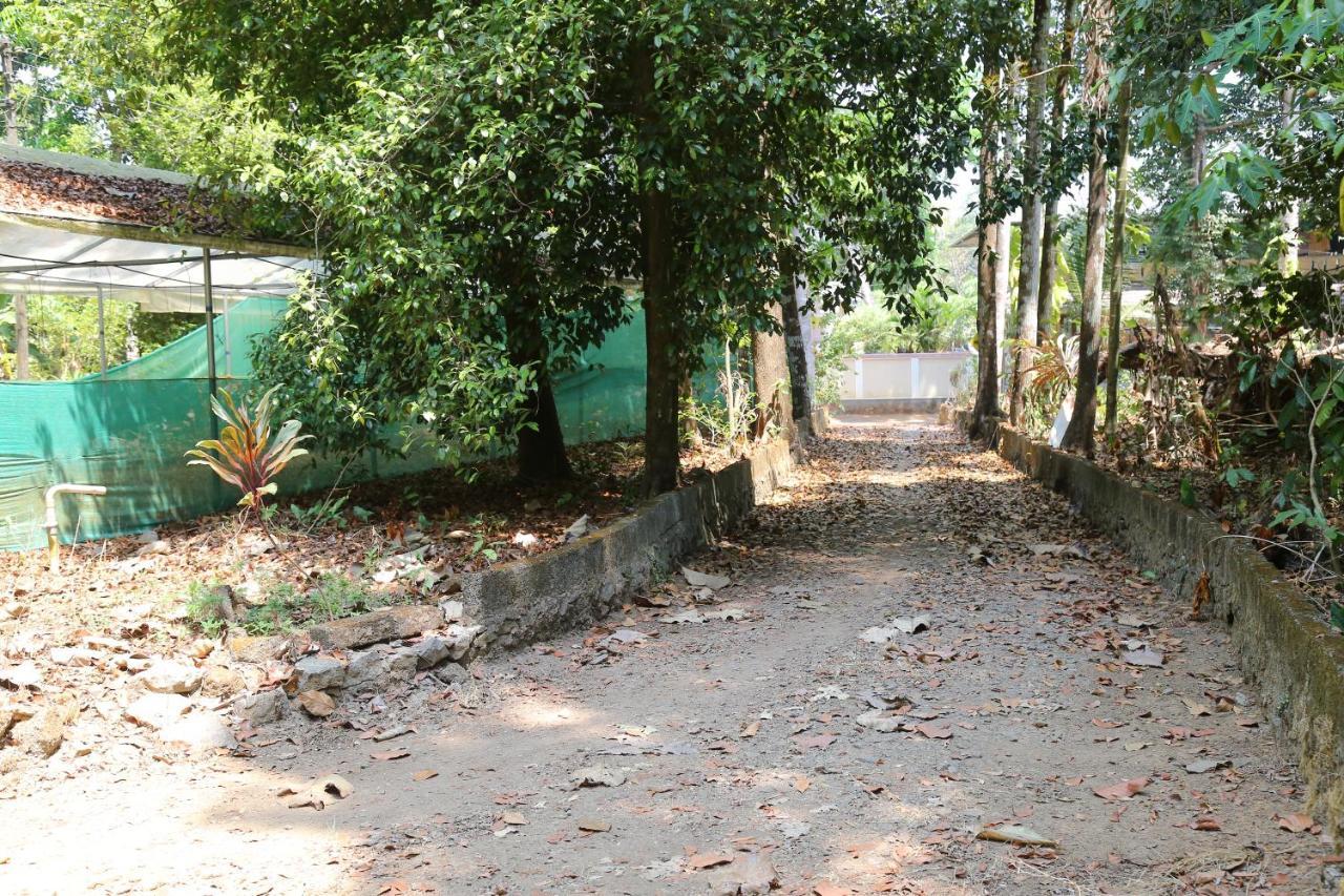 The Mana-Heritage Stay - Chengazhimattam Mana Kottayam Zewnętrze zdjęcie