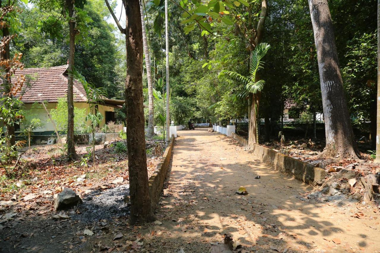 The Mana-Heritage Stay - Chengazhimattam Mana Kottayam Zewnętrze zdjęcie