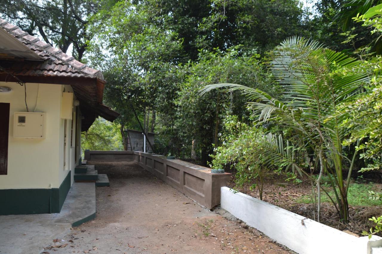 The Mana-Heritage Stay - Chengazhimattam Mana Kottayam Zewnętrze zdjęcie